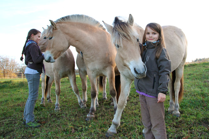 Searched and found - our flock of young mares looks forward to your visit!