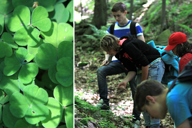 Spring excursion with the subject „Nature protection“ across the mixed forest areas of canyon and  hillsides within the school forest area 
