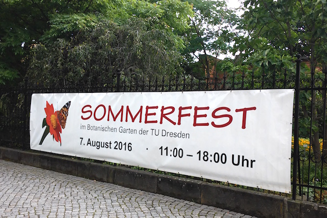 Banner Sommerfest im Botanischen Garten Dresden