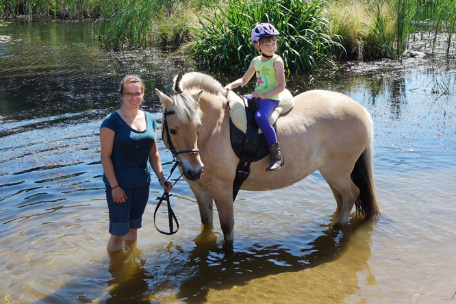 Später geht es entlang der Pferdeweiden bis zum Teich. Angst vor Wasser kennen die Landgut-Pferde nicht. Ganz entspannt genießen sie die Abkühlung..