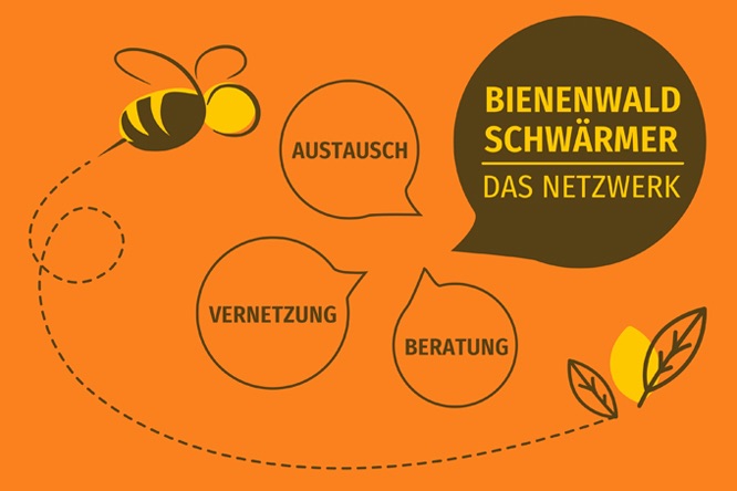 Das Netzwerk BienenwaldSchwärmer wächst …