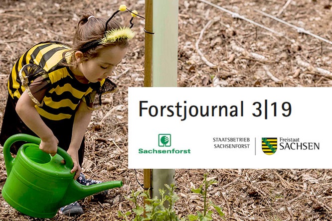 Unser Bienenwald im Forstjournal 03|19